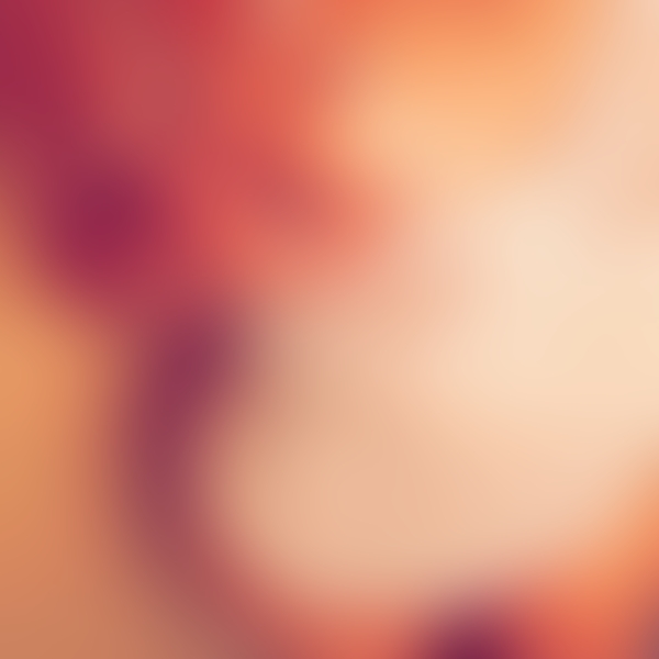 NOFANS PPV preview image