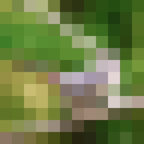 NOFANS PPV preview image