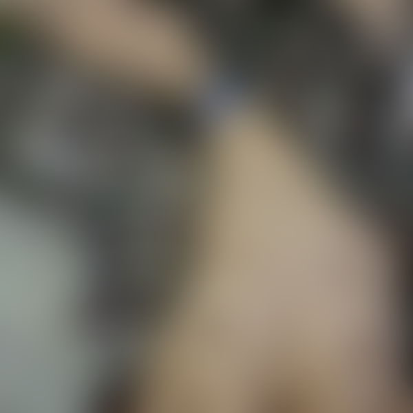 NOFANS PPV preview image