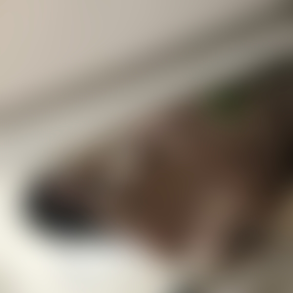 NOFANS PPV preview image